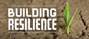 BuildingResilience2