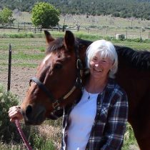 Equine Supported Therapy Provider